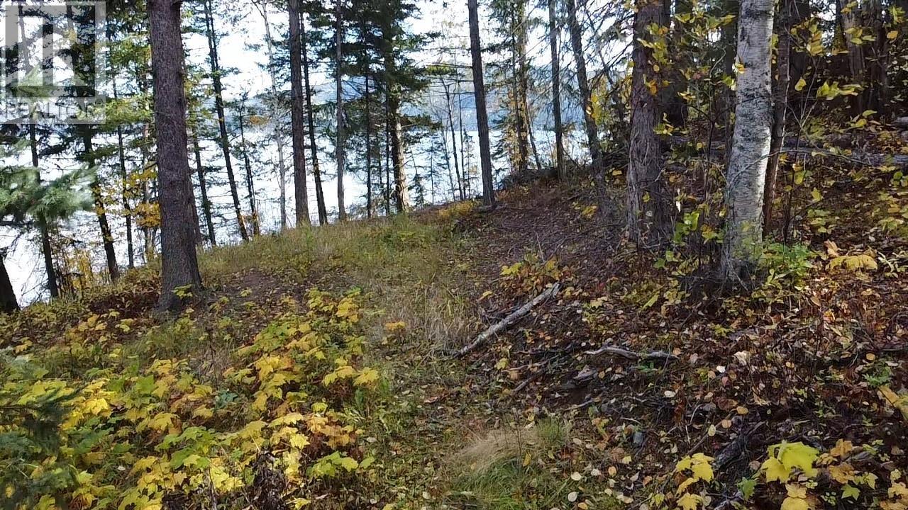 Lot 1 Cottonwood Place Property Photo 11