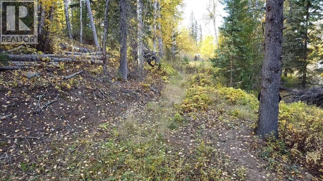Lot 1 Cottonwood Place Property Photo 12