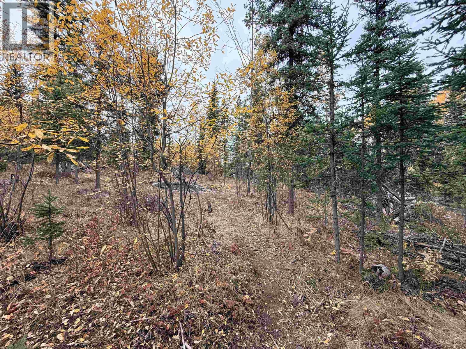 7603 Merlyn Road Property Photo 23