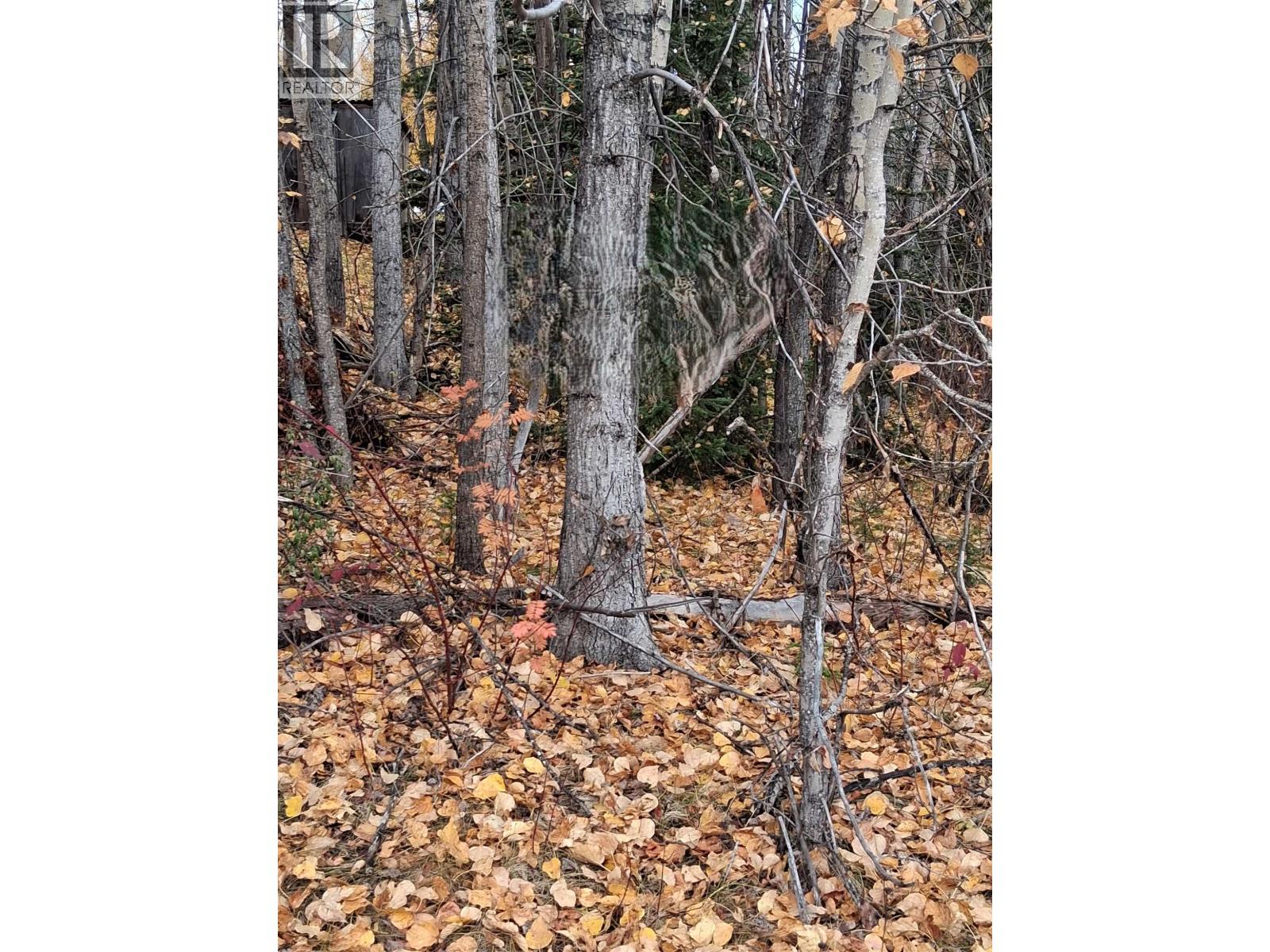 82 MORRISON STREET Property Photo 1