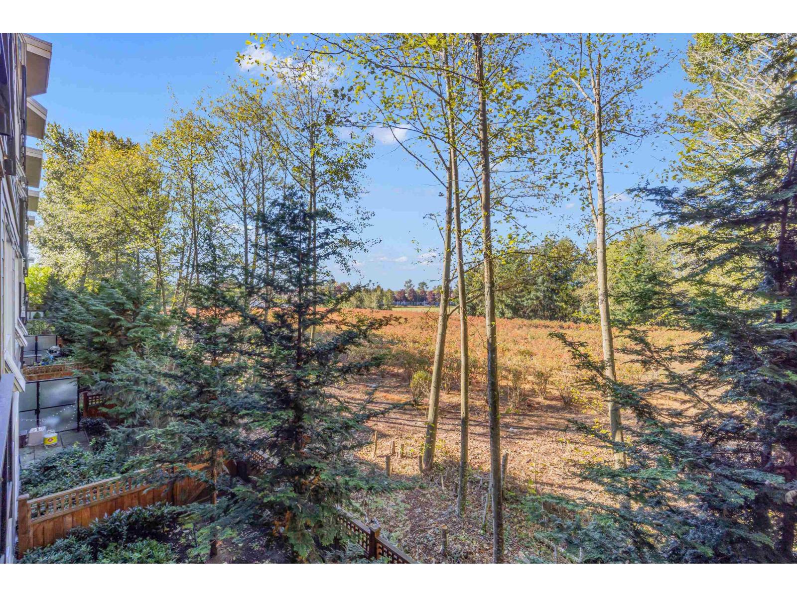 C211 20211 66 Avenue Property Photo 14