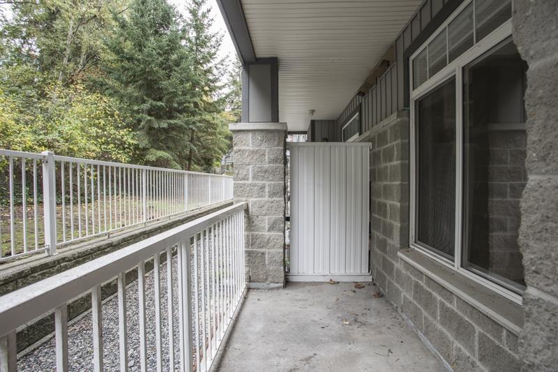 103 13277 108th Avenue Property Photo 16