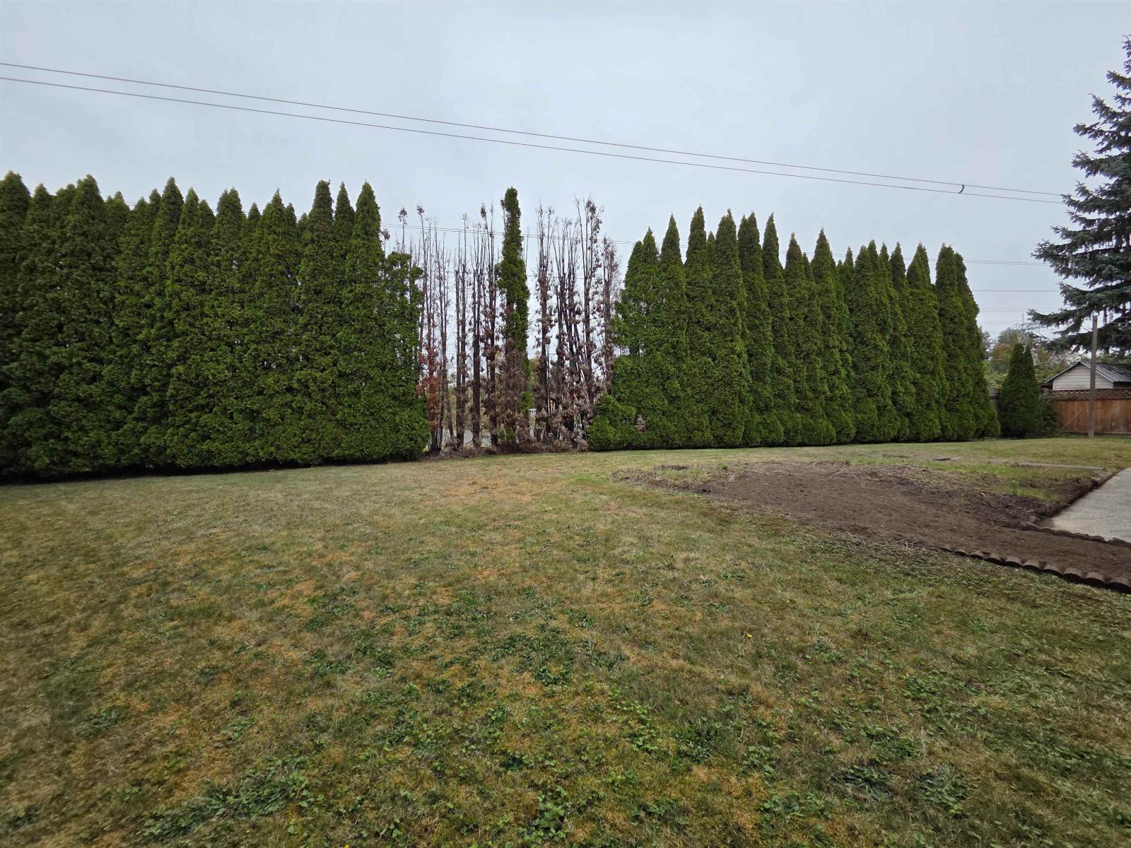 6594 179 Street Property Photo 18