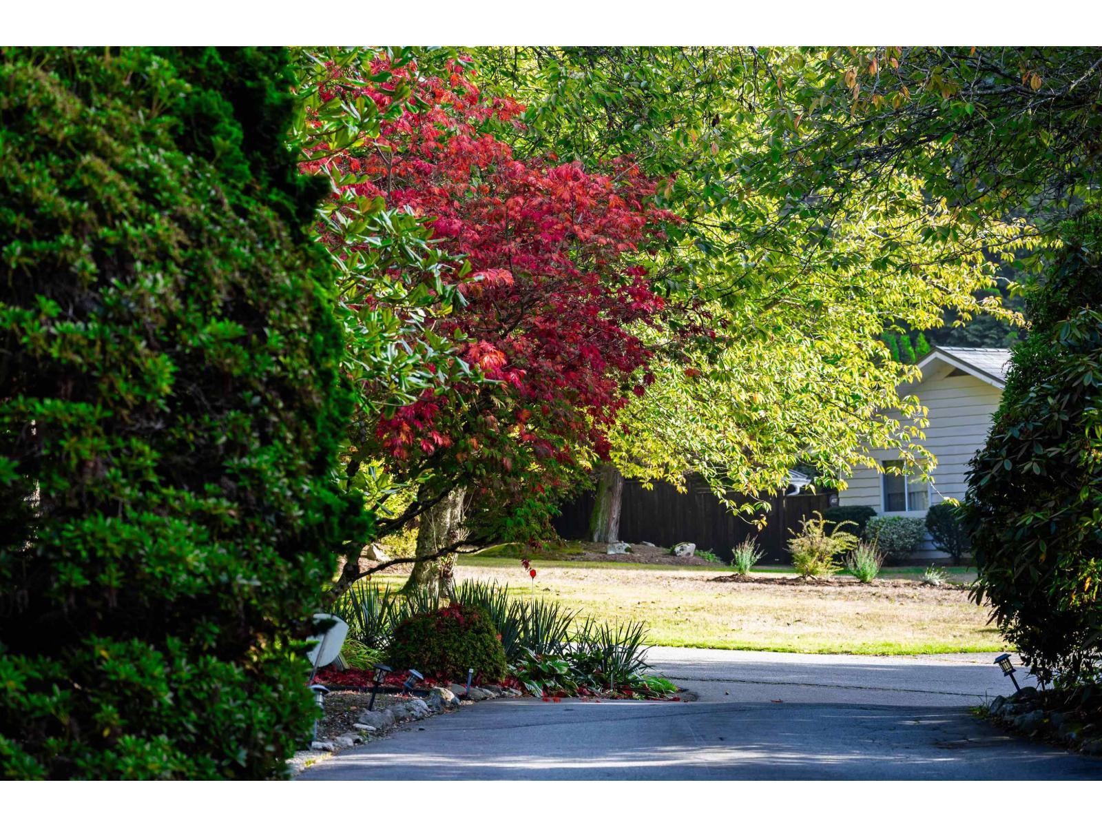 14387 24a Avenue Property Photo 5