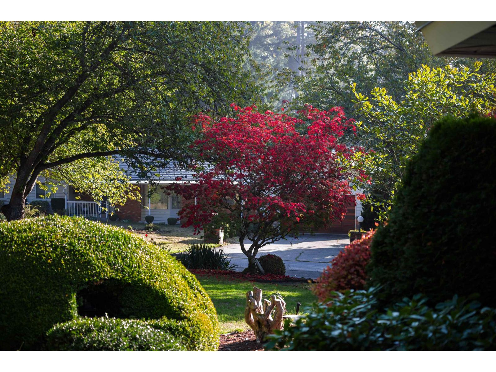 14387 24a Avenue Property Photo 7