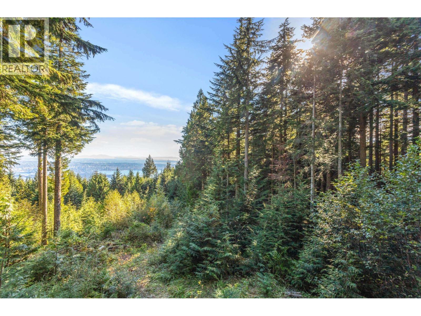1c Hollyburn Ridge Property Photo 20