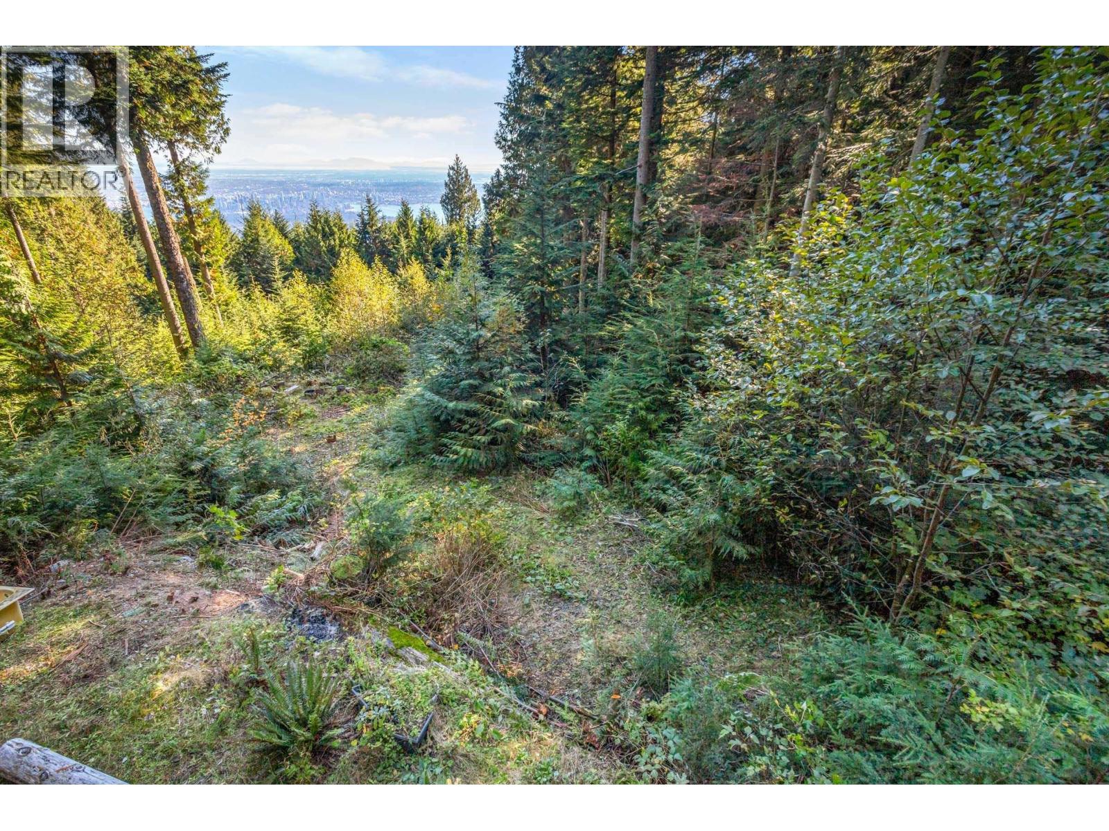 1c Hollyburn Ridge Property Photo 23