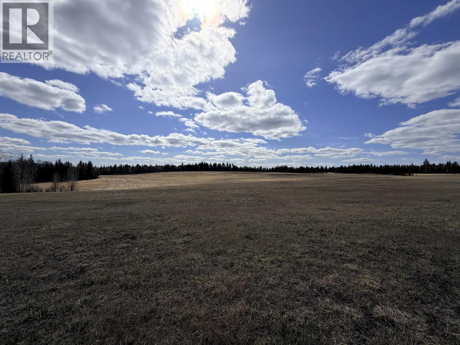 4583 Ridge Road Property Photo 26