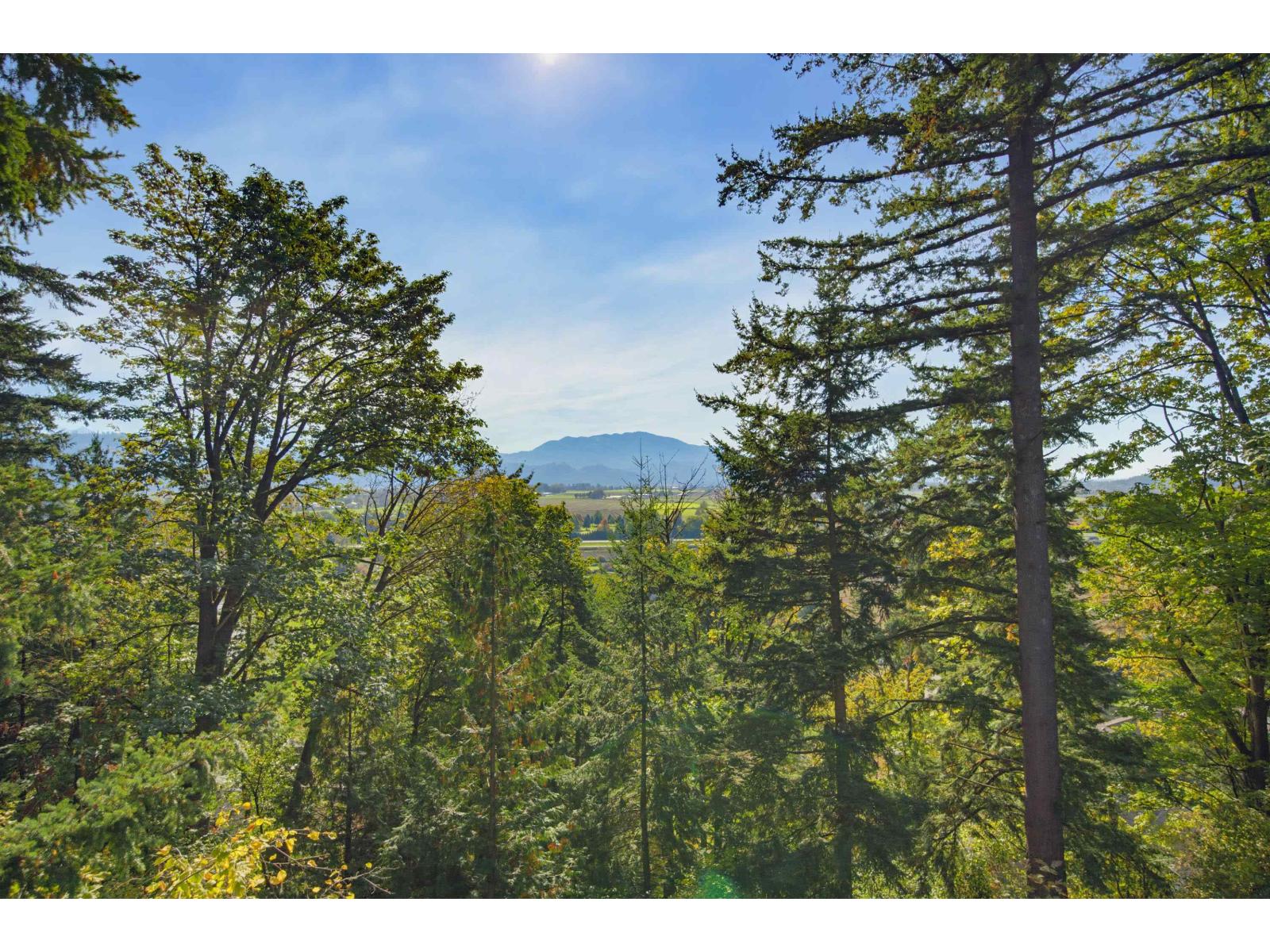 35746 Timberlane Drive Property Photo 15