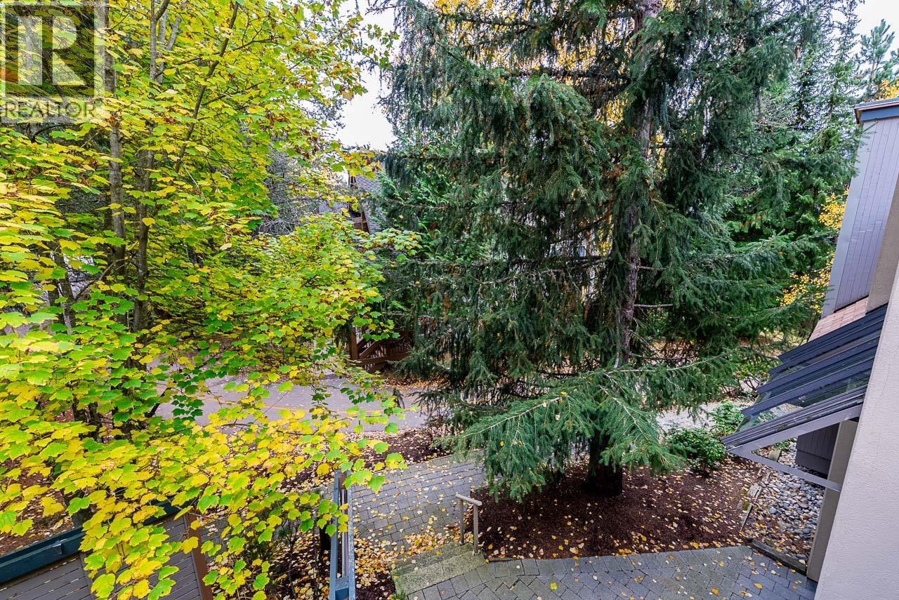 31 4636 Blackcomb Way Property Photo 24