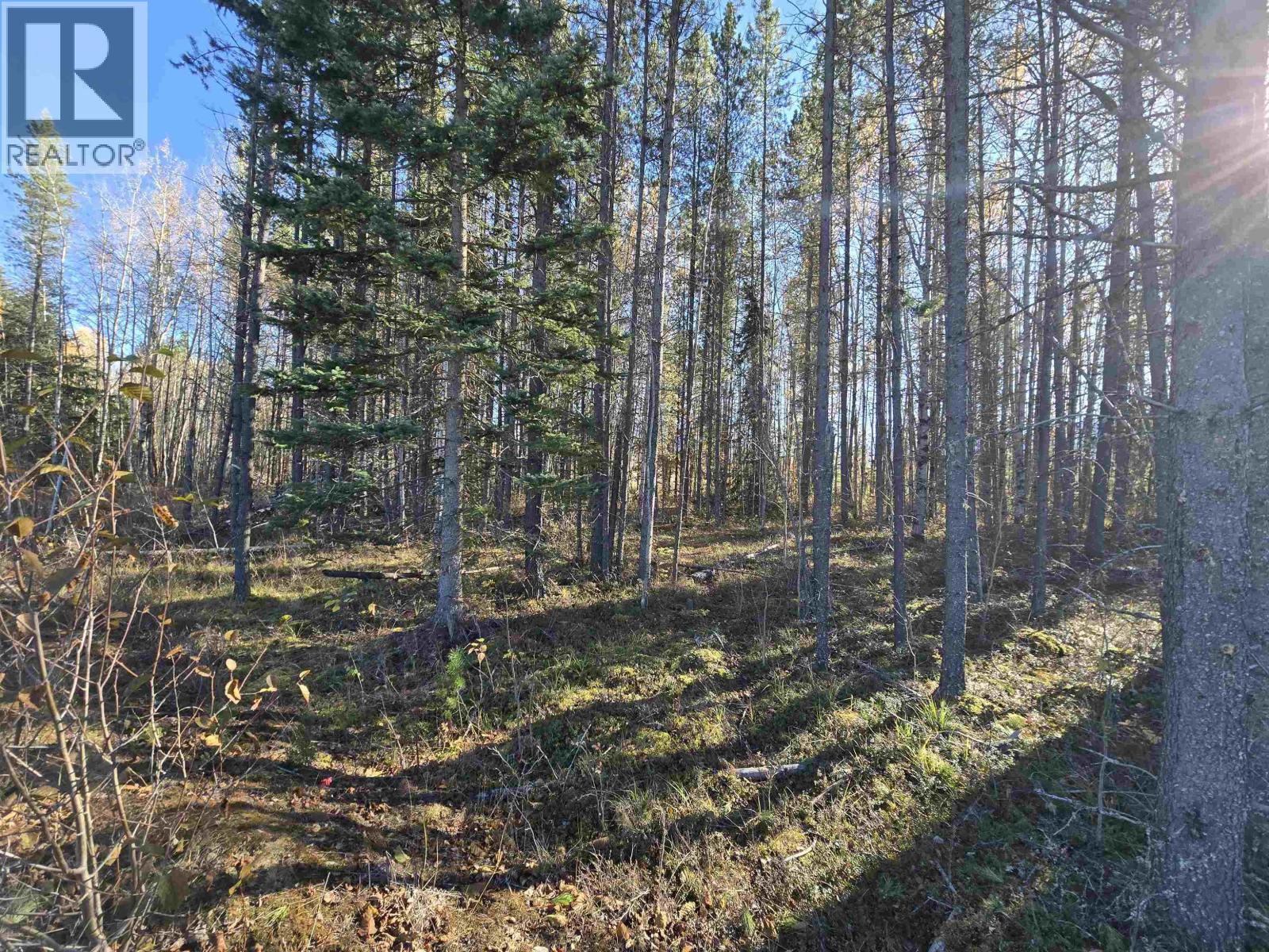 14040 Blackman Road Property Photo 16