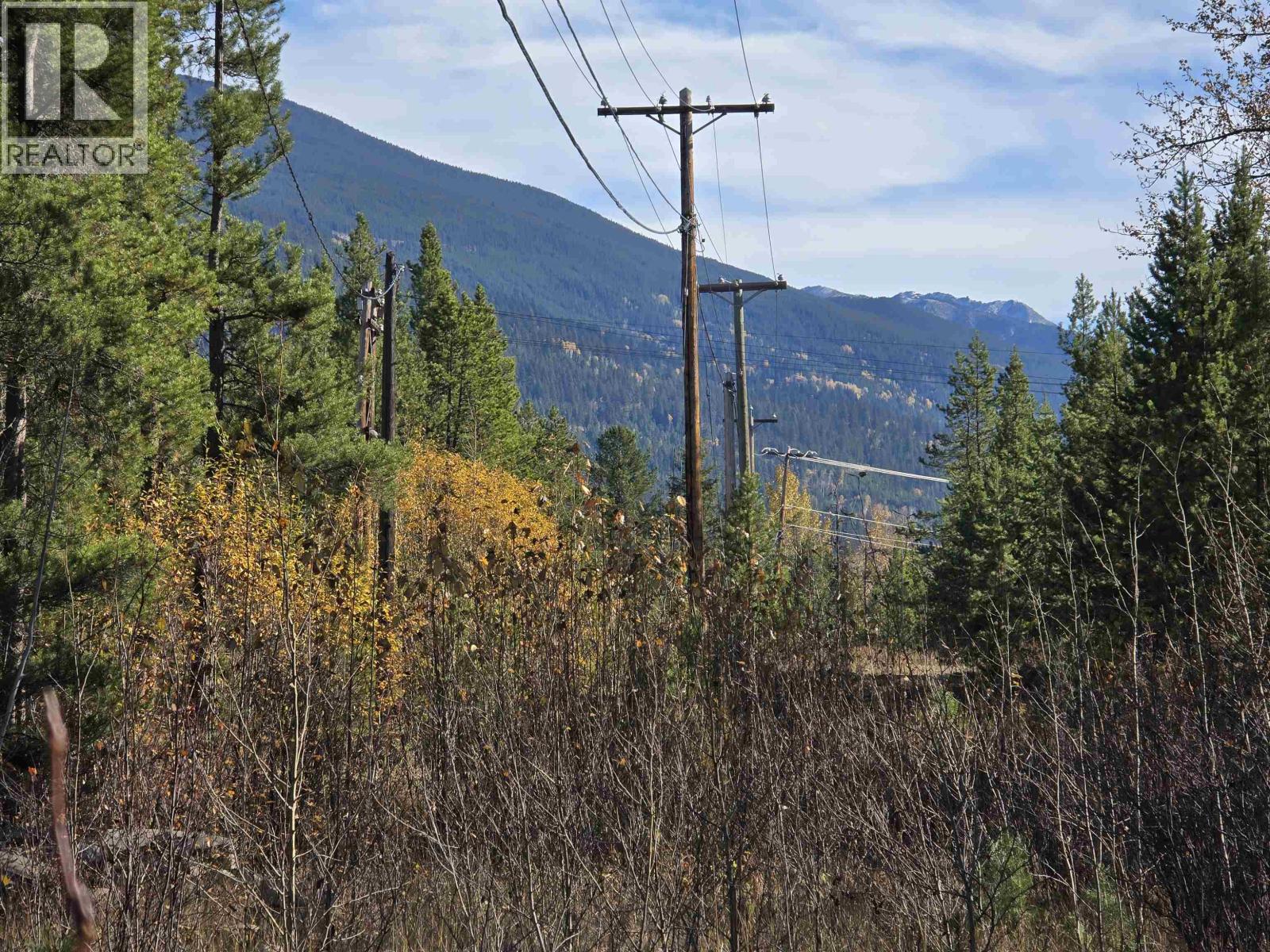14040 Blackman Road Property Photo 21