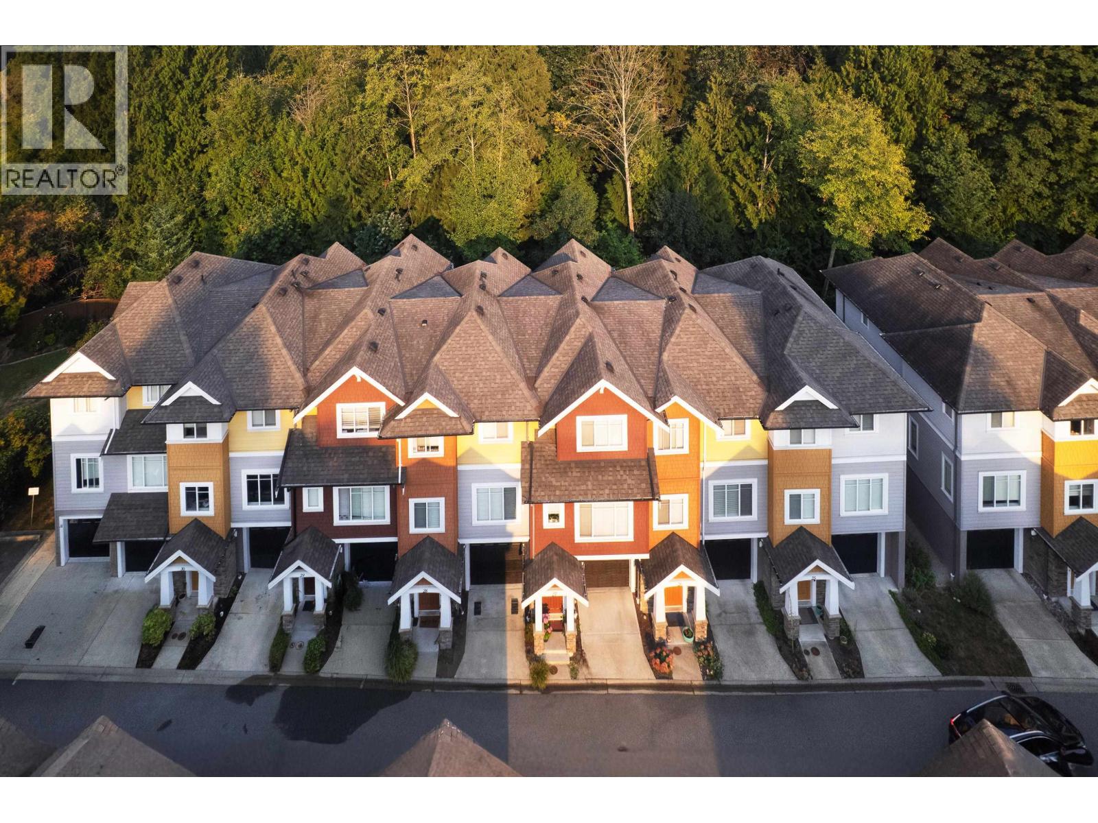 30 1219 BURKE MOUNTAIN STREET Property Photo 1