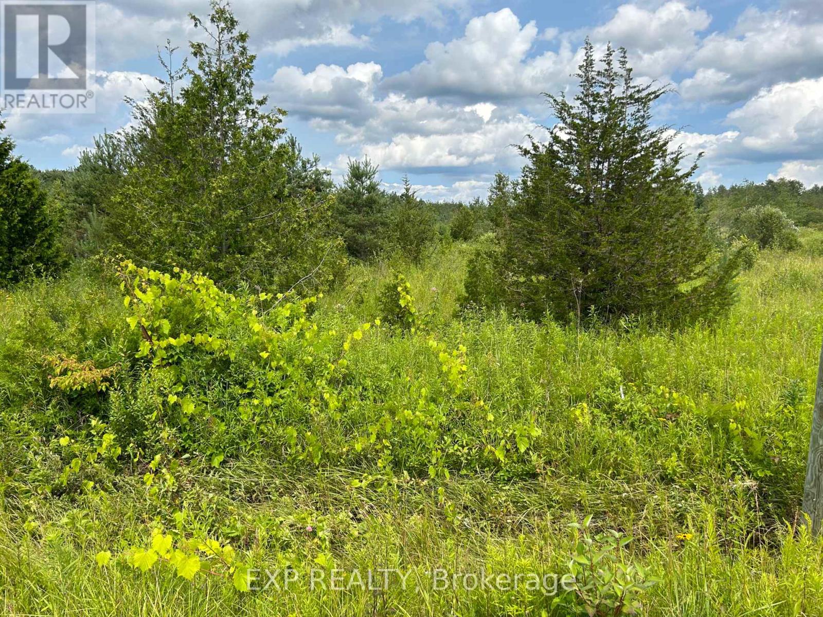 1125 Wood Road Property Photo