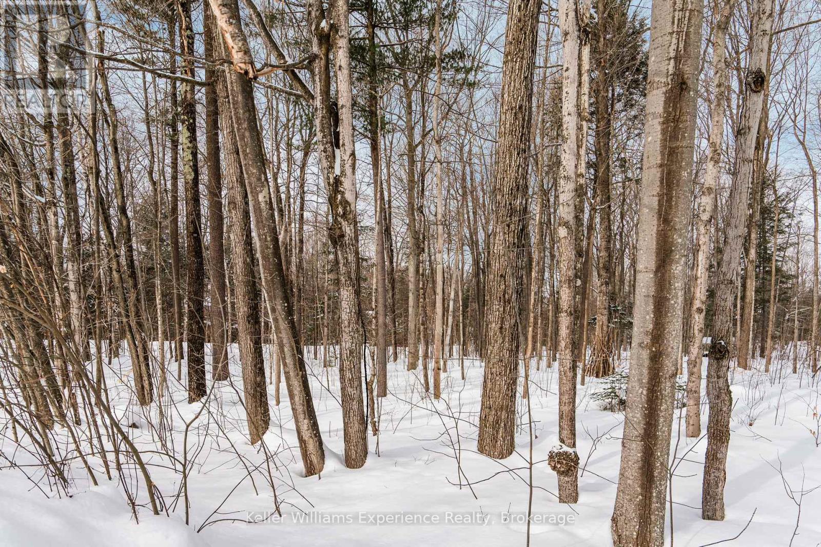 Lot 268 Celestine Court Property Photo 29