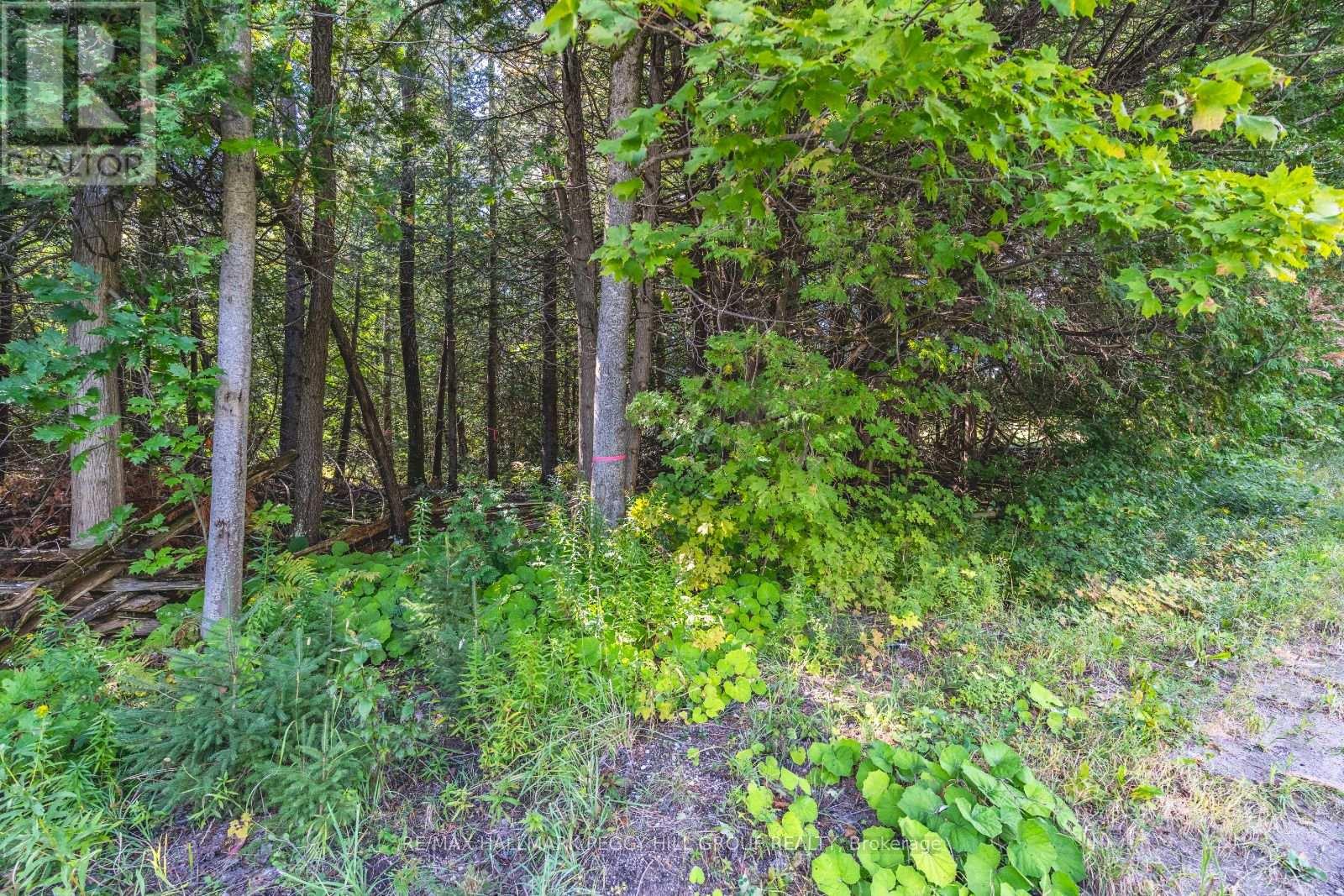 2960 Line 8 N Property Photo 7