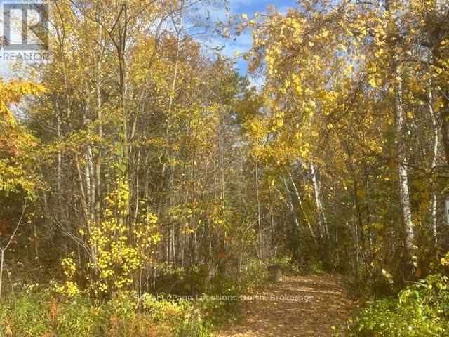 10 Little River Crossing Property Photo 37