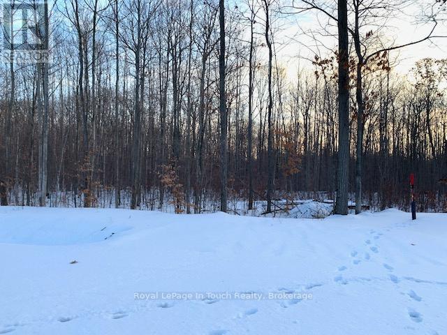 Lot 64 Whispering Pine Circle Property Photo 4