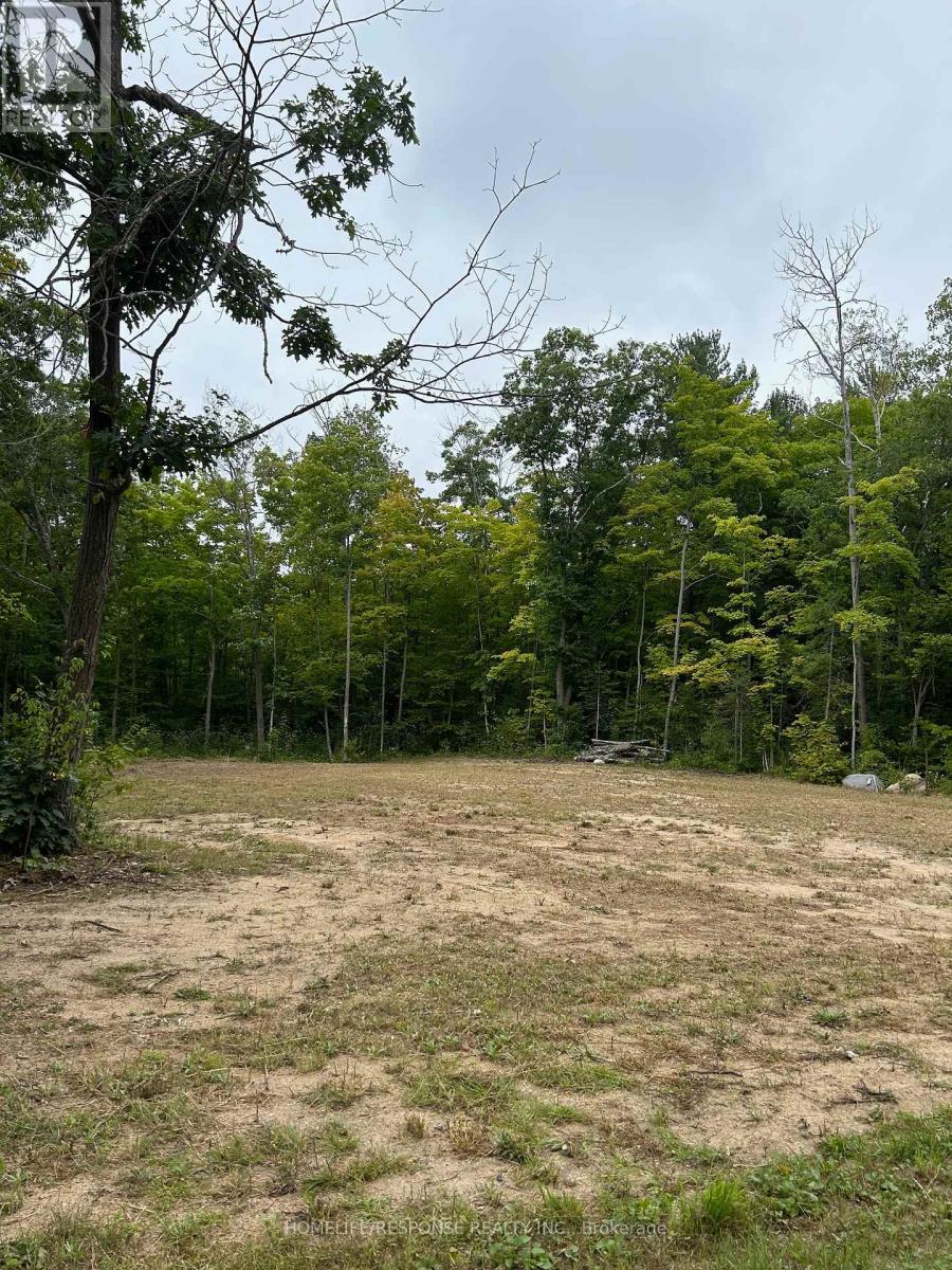 56 Poplar Drive Property Photo 8