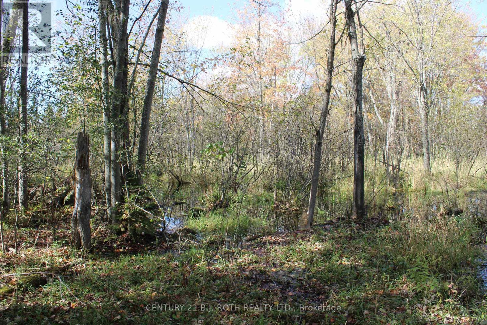 388 Woodland Drive Property Photo 14