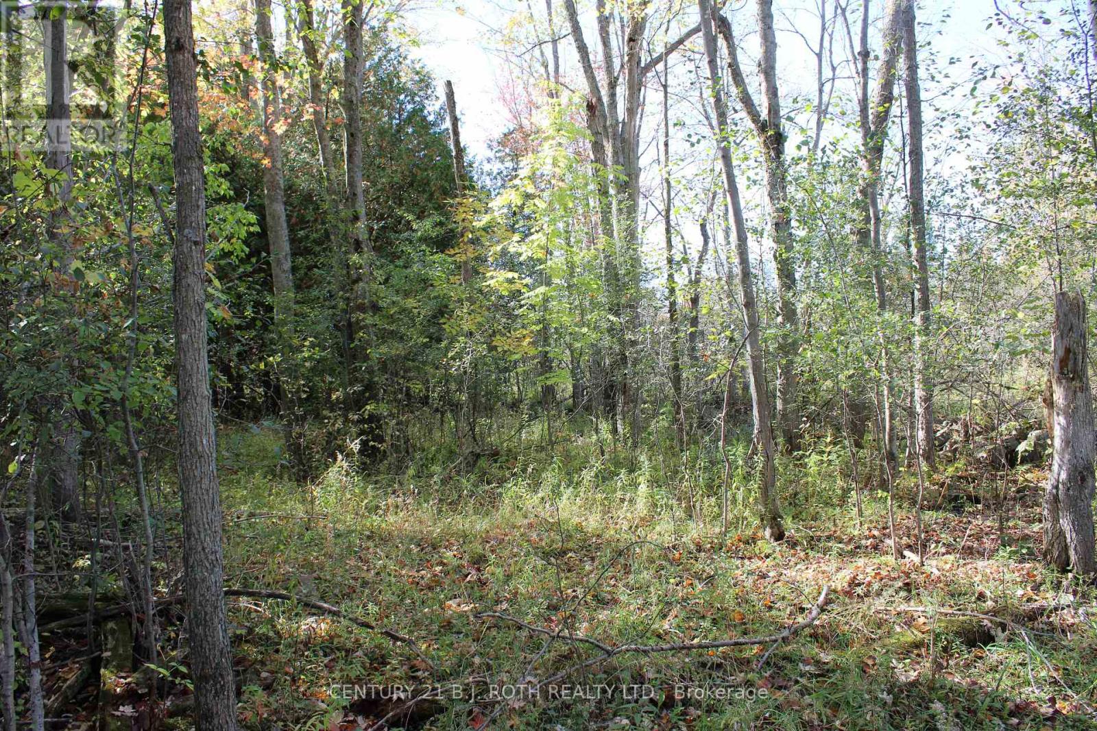 388 Woodland Drive Property Photo 15