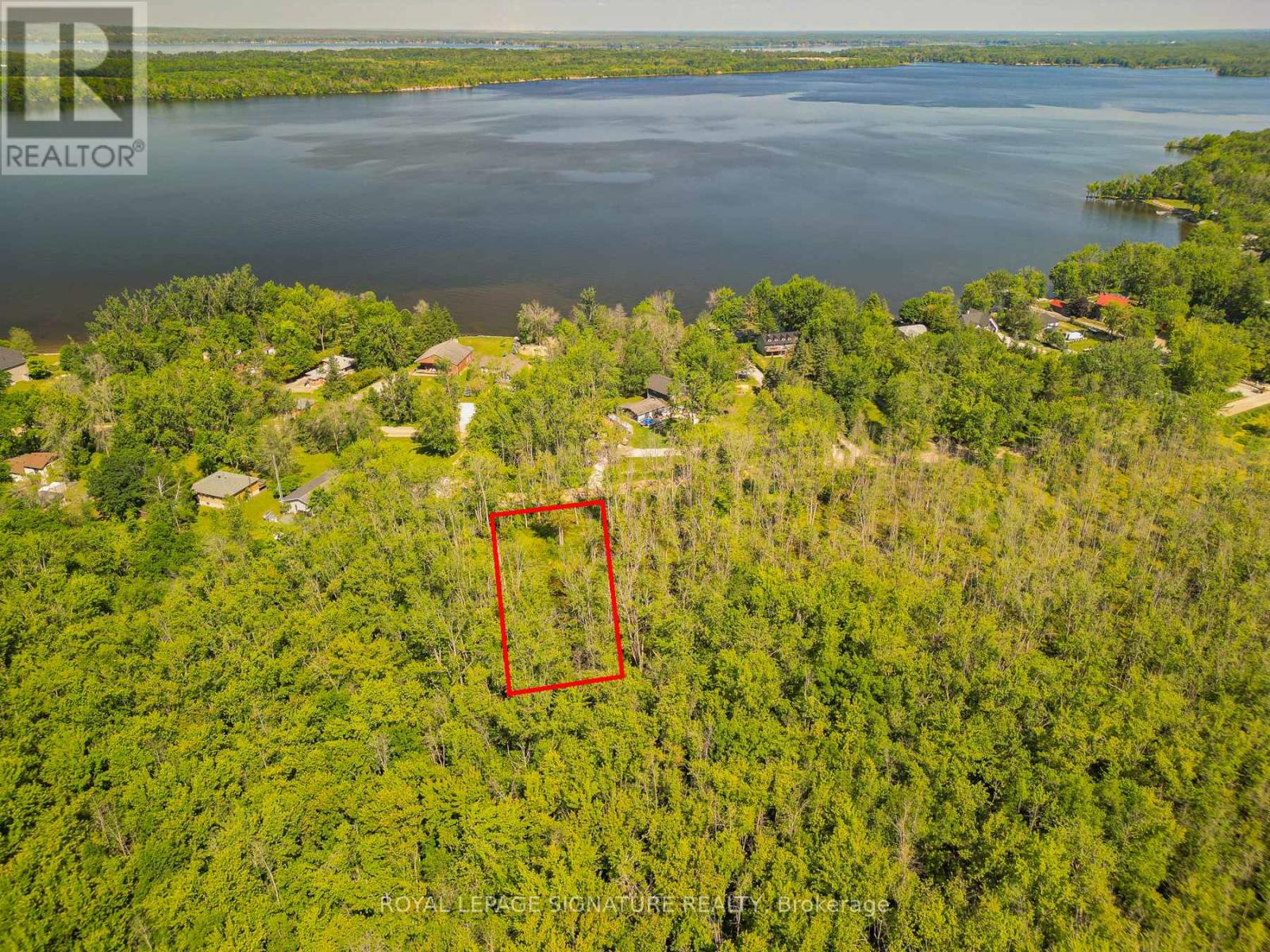 6117 BLUEBIRD STREET Property Photo 1
