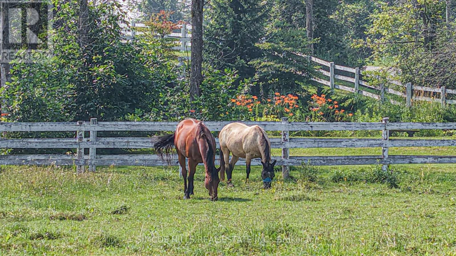 145 Courtland Street Property Photo 2