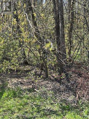 153 COURTLAND STREET Property Photo 1