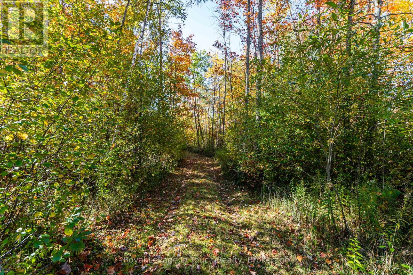 250 Peek -a- Boo Trail Property Photo 6