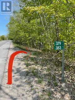 379 Champlain Road Property Photo 20