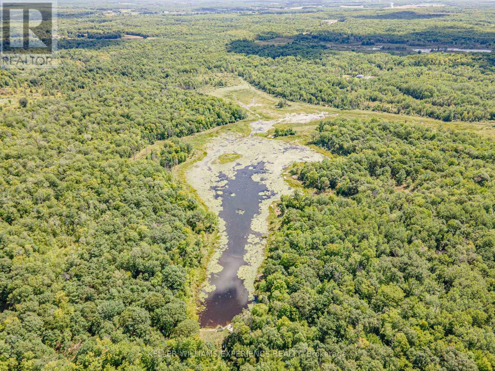 1213 Taylor Line Property Photo 42