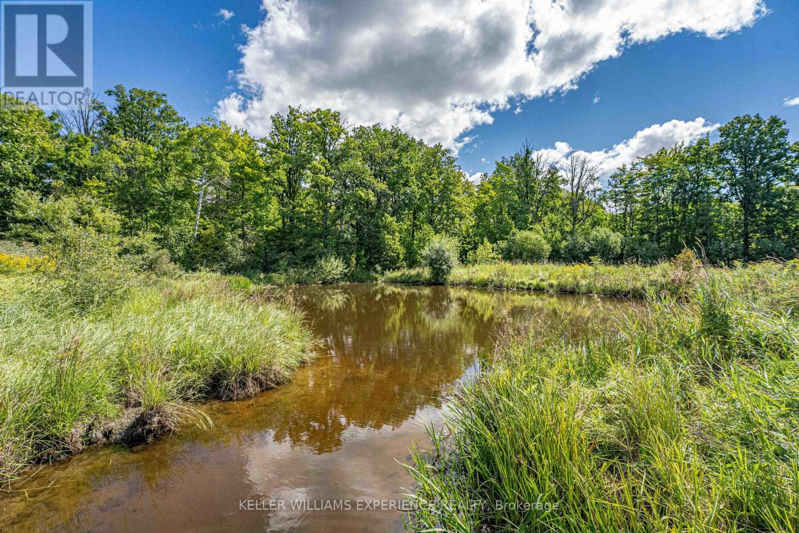 1213 Taylor Line Property Photo 44
