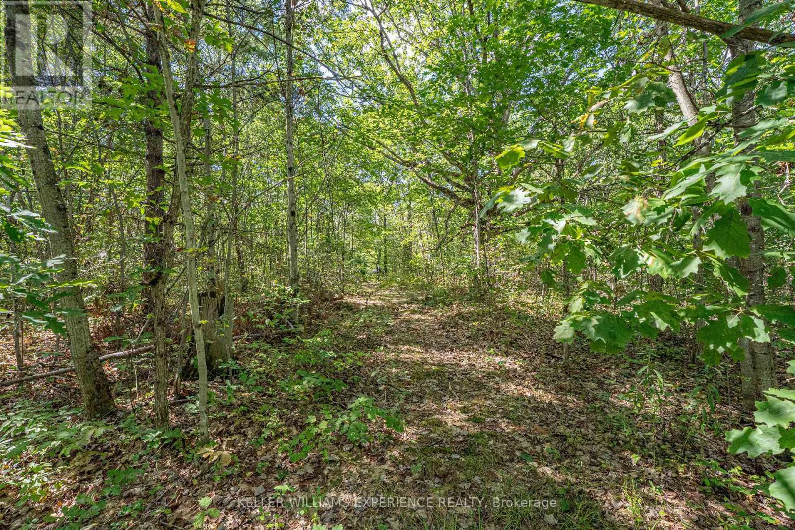 1213 Taylor Line Property Photo 46