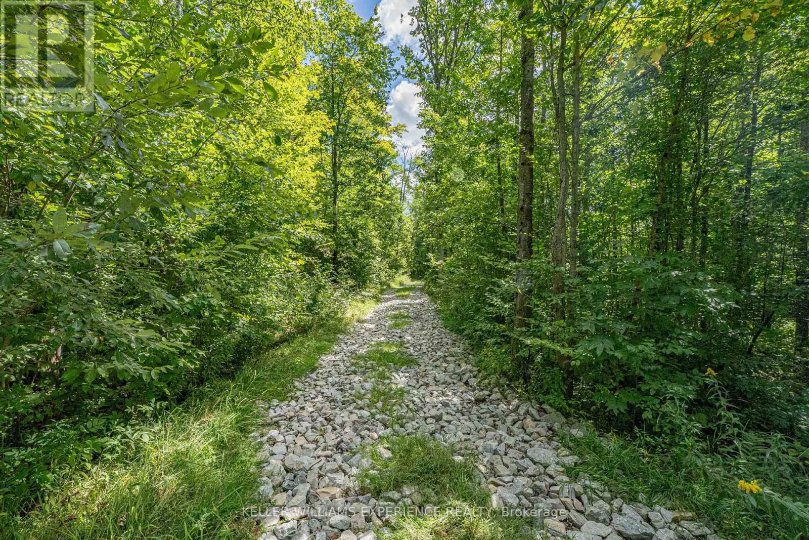 1213 Taylor Line Property Photo 48