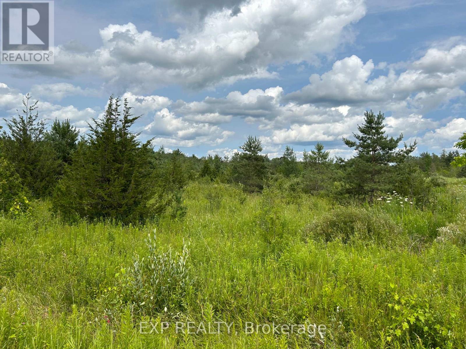1125 Wood Road Property Photo 3