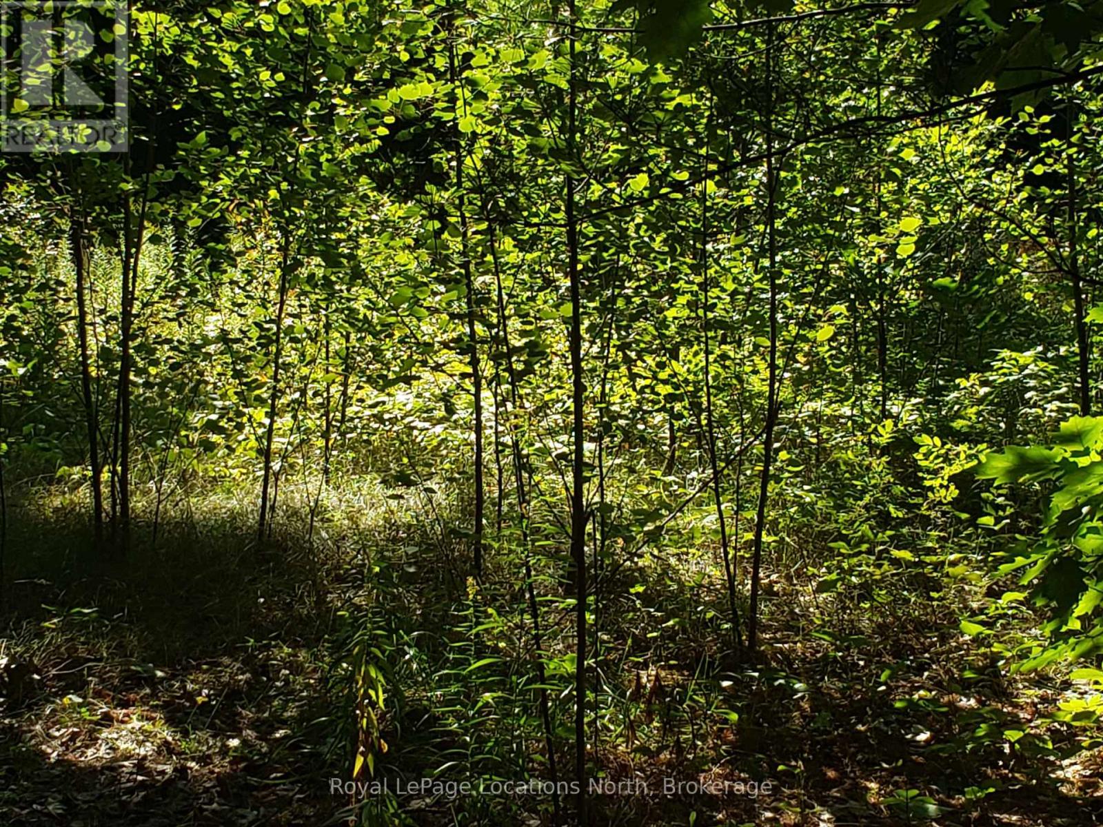 23 Stoney Road Property Photo 6