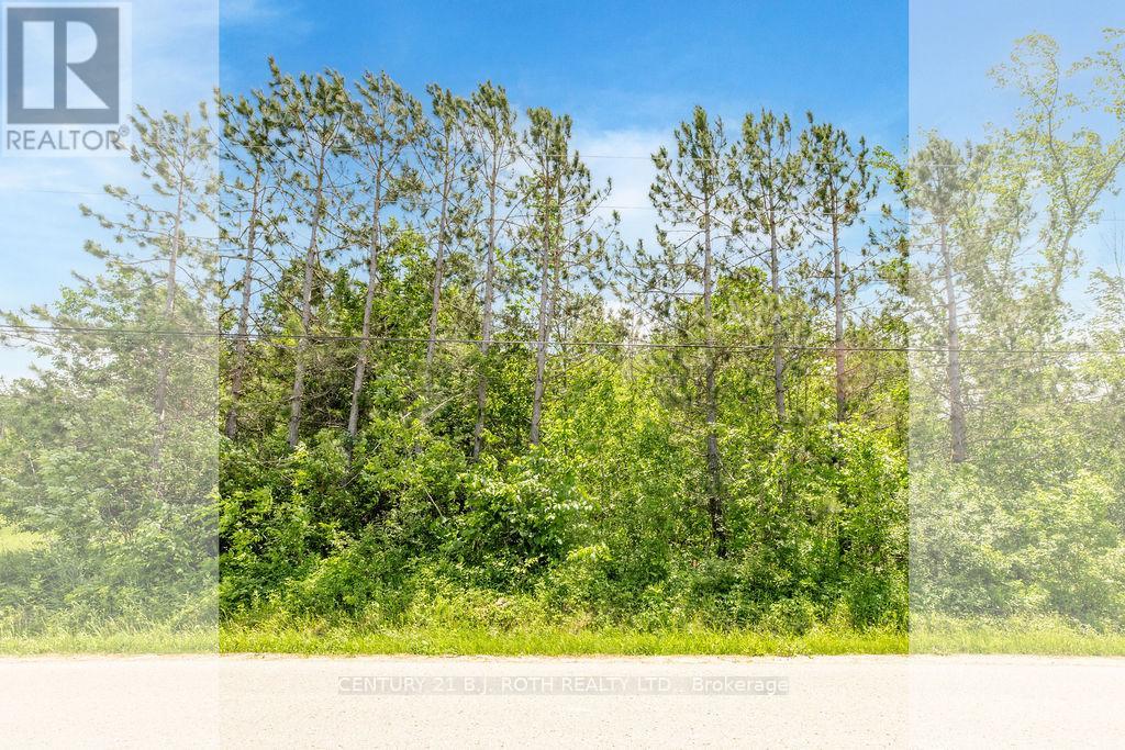 37 Todd Lane Property Photo 16