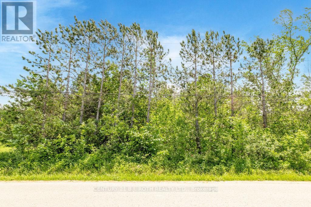 37 Todd Lane Property Photo 17