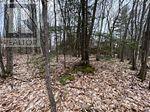 Lot 705 Wolfe Trail Property Photo 2