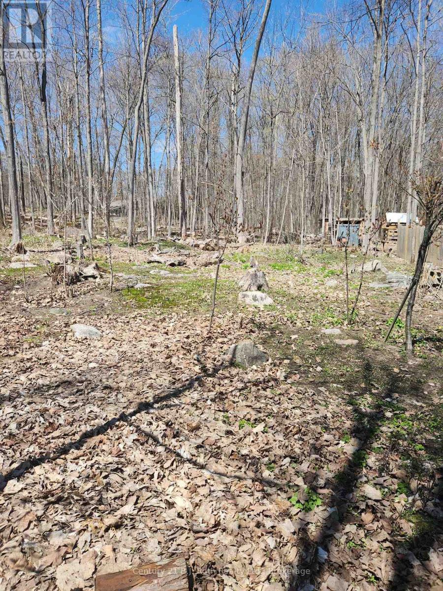 81 Polish Avenue Property Photo 4