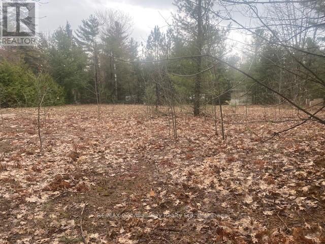 Lot 514 Tall Pines Drive Property Photo 3