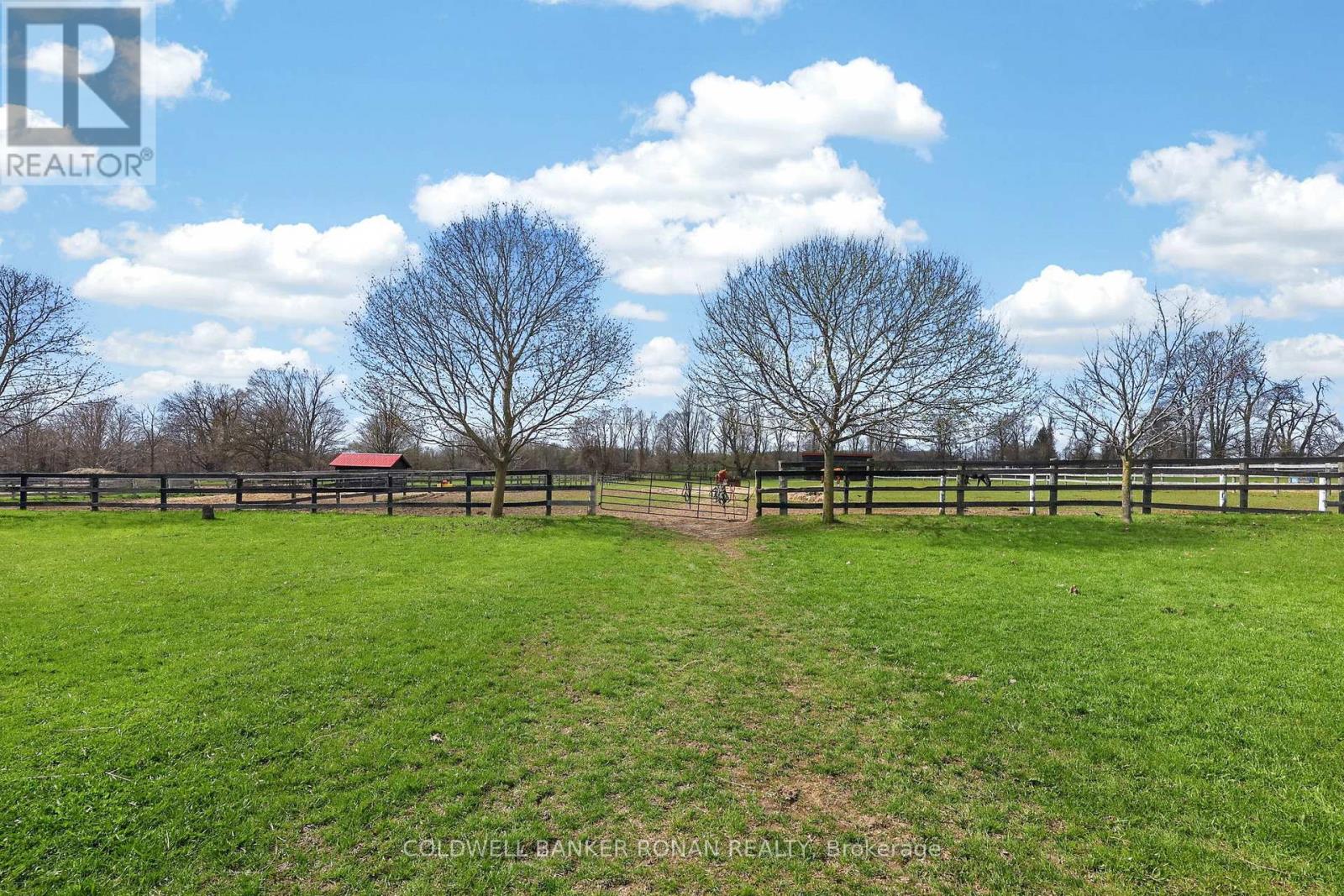 4479 2nd Line N Property Photo 14