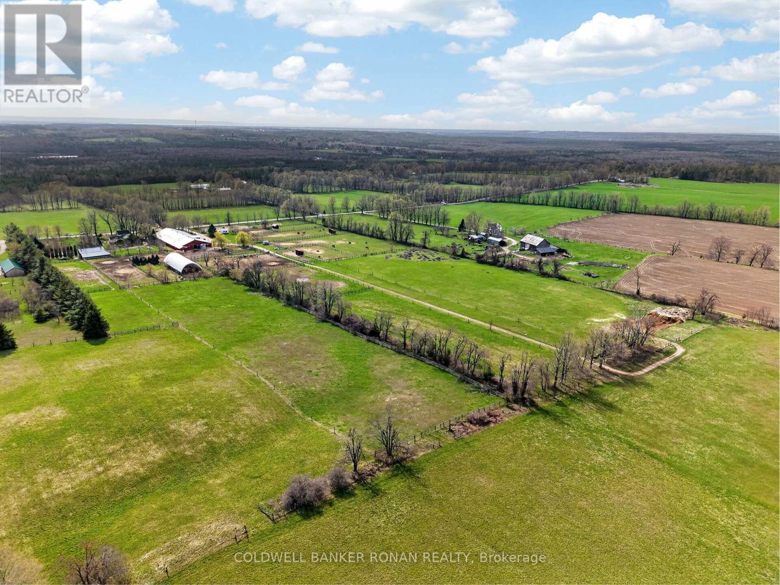 4479 2nd Line N Property Photo 23