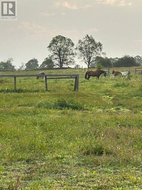 4479 2nd Line N Property Photo 25