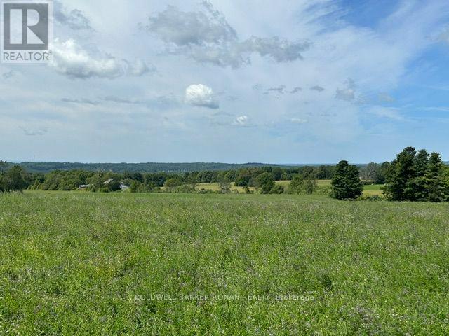 4479 2nd Line N Property Photo 26