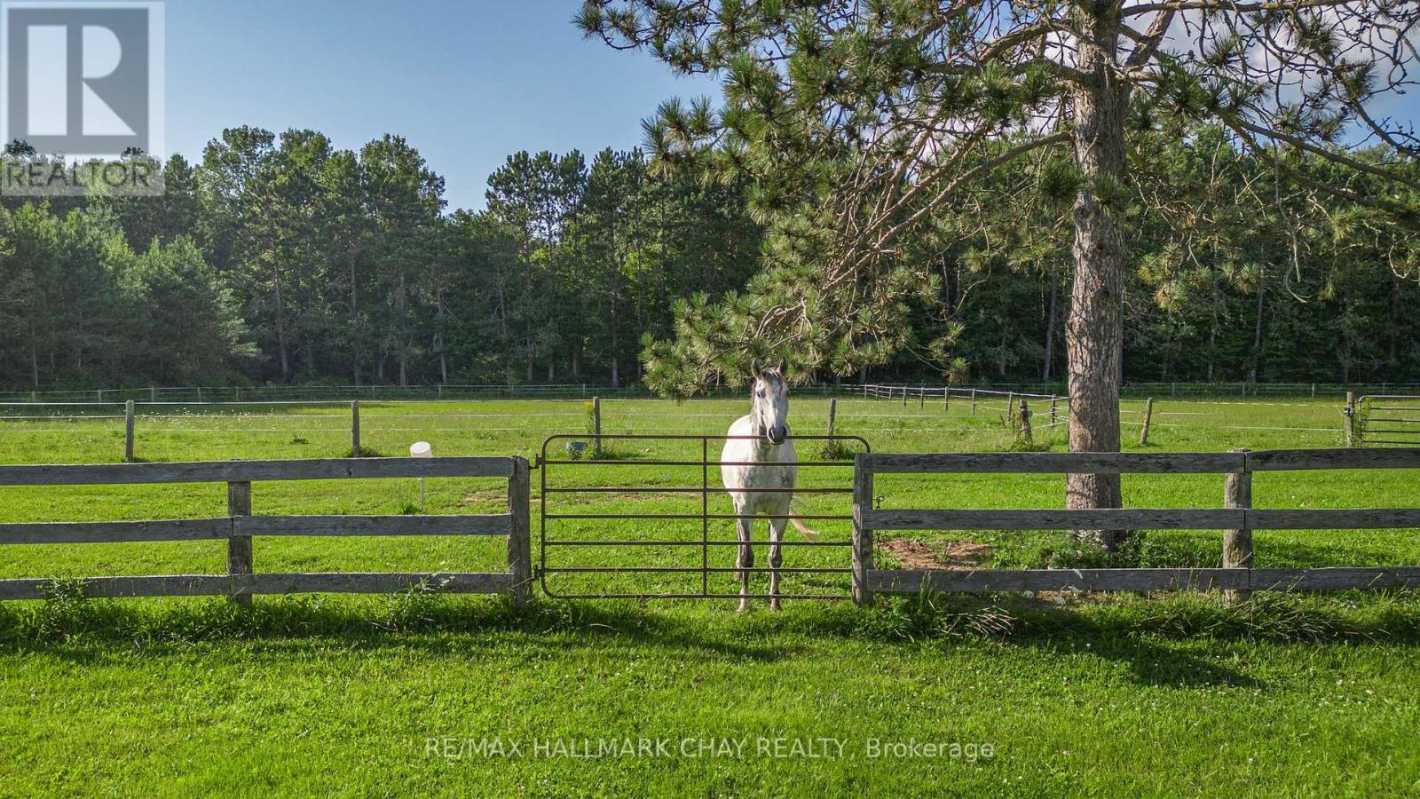 1398 Old Second Road N Property Photo 39