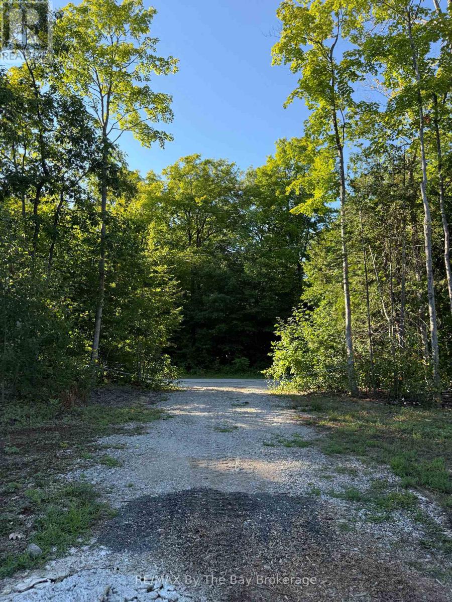 909 17 Concession Property Photo 6
