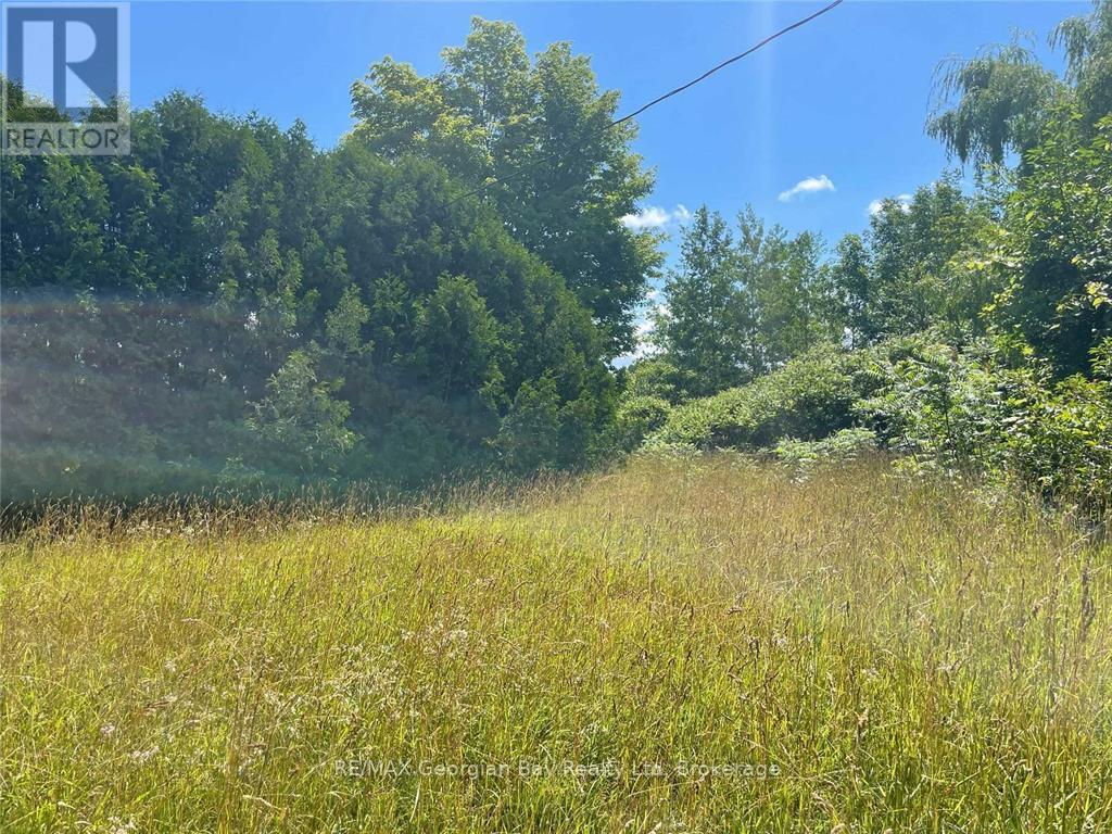 6950 County Rd 93 Road Property Photo 3