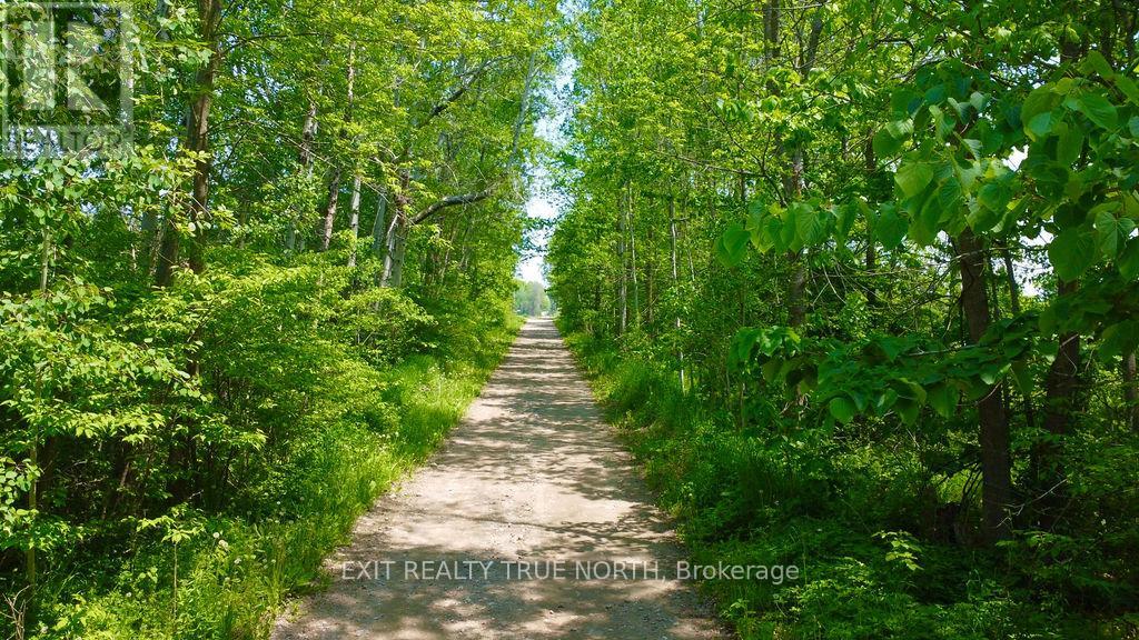 199 3 Concession Road W Property Photo 15