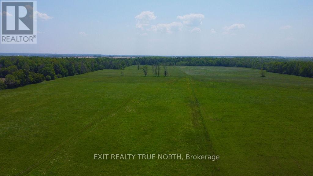 199 3 Concession Road W Property Photo 37